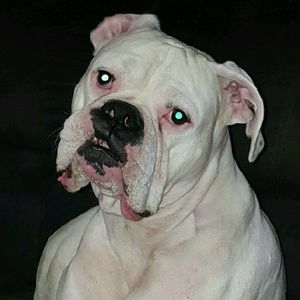 Meet your Posher, Vicky